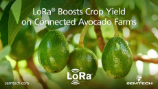 LoRa、アボカド農園を接続して収穫量を増やす