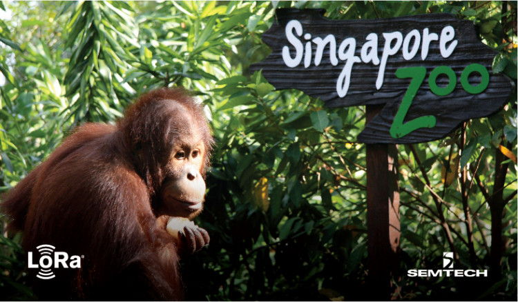 SemtechとSindcon、LoRaWAN®でシンガポール動物園にスマートメーターを導入