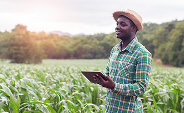 LoRaスマート農業のアプリケーション、ユースケース、リソース